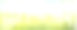 矢桦林，春散景背景。素材图片