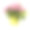 黄色花盆里的绣球花素材图片