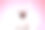 粉色背景上的小兔子风格的哈巴狗素材图片