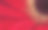 红色非洲菊雏菊花的特写素材图片