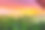 哥伦比亚莱蒂西亚的紫日落雨林素材图片