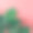 粉红色背景上的热带棕榈叶。简约的夏季自然概念。平的。素材图片