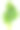 菠菜叶子孤立在白色背景上素材图片