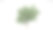 白色背景上的垂柳绿叶素材图片