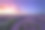 薰衣草田的美丽形象夏天的日落。素材图片