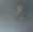 黑色背景上烟雾中的细长女巫素材图片