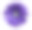 紫罗兰非洲菊花在白色孤立的背景与修剪路径。特写镜头。没有阴影。为设计。大自然。素材图片
