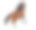 海湾安达卢西亚马奔驰孤立在白色的背景素材图片