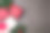 圣诞组成。圣诞礼物，圣诞树，暗色背景上的装饰品。平躺，俯视图素材图片