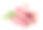 红薯和叶子(库马拉)孤立在白色的背景素材图片