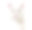 白色混血猫面对着镜头(2岁)，instagram滤镜素材图片