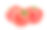番茄孤立在白色背景素材图片