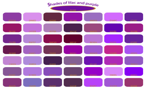 紫色,紫罗兰色和淡紫色的色调用代码给背景上色矢量插图调色板