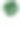 白色背景上的绿色怪兽热带树叶。素材图片