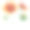分枝开花盖拉迪亚pulchella，共同的名字毯子花(印第安毯子，火轮，圣丹斯，亚利桑那太阳)，孤立在白色的背景。水彩手绘插画。素材图片