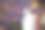 近距离的硫冠凤头鹦鹉与紫色开花蓝花楹树的背景。城市野生动物。澳大利亚后院游客素材图片
