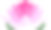 Lotus图标孤立在白色背景上。每股收益10素材图片