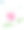水彩手画自然祝贺构图，粉红色的荷花，绿色的水叶，茎和蓝色的蜻蜓在白色的背景和快乐的生日文字贺卡素材图片