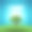 蓝天上，橡树屹立在绿色的景观中。素材图片