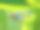 博斯曼彩虹鱼的微距特写，在一个背景模糊的鱼缸上孤立素材图片
