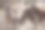 察沃东部国家公园的斑马群素材图片