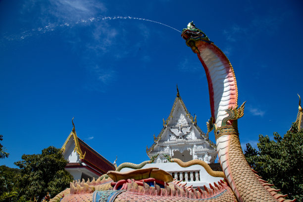 泰国巨蛇景点图片