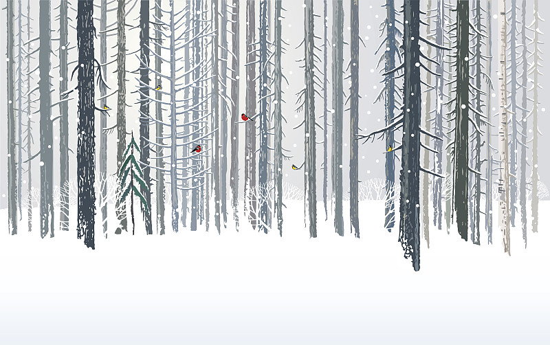 冬季森林图片下载
