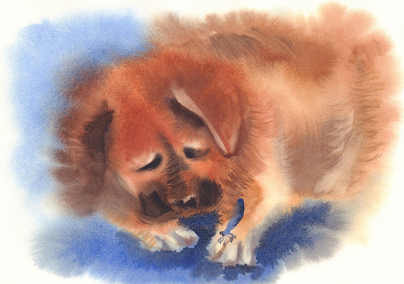 可爱的狗水彩画。手画。图片下载